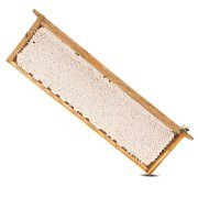 รวงผึ้งแบบคอน - Honey Comb with Frame