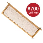 รวงผึ้งแบบคอน - Honey Comb with Frame